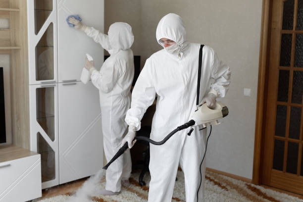 Best Post-Flood Mold Remediation in Andalusia, IL