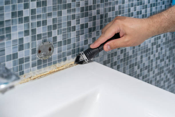 Best Mold Remediation for Schools in Andalusia, IL